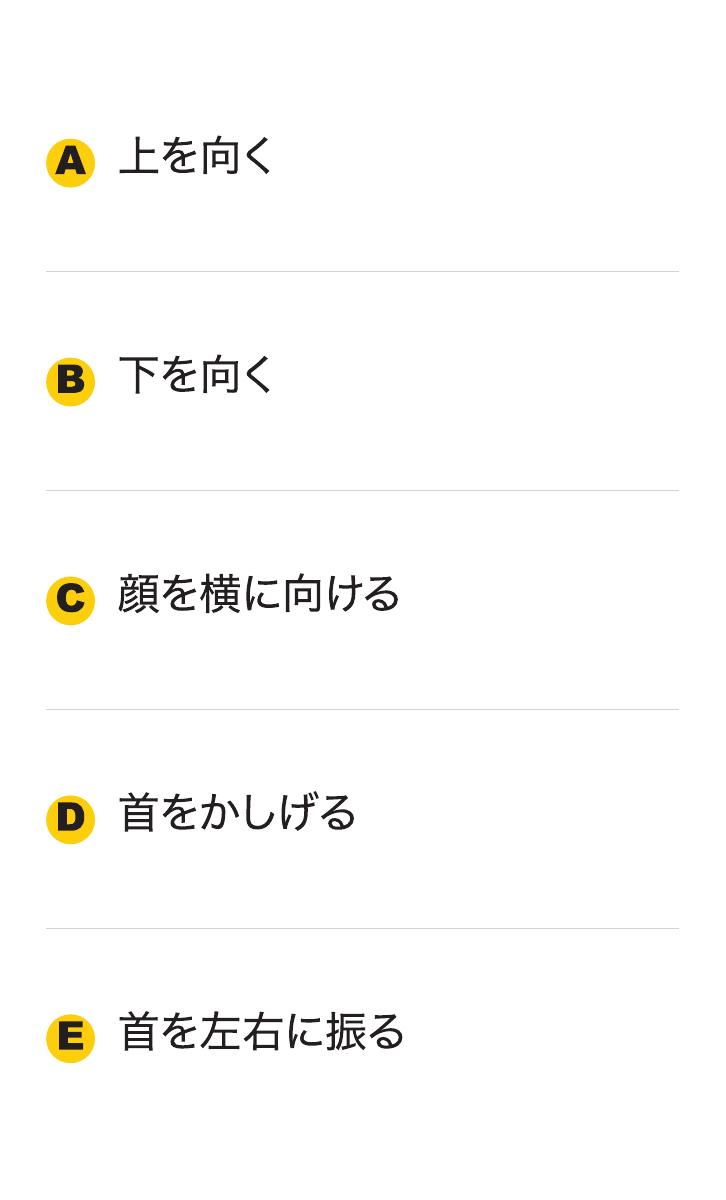 MYSTERY RULEのお題カードの裏面